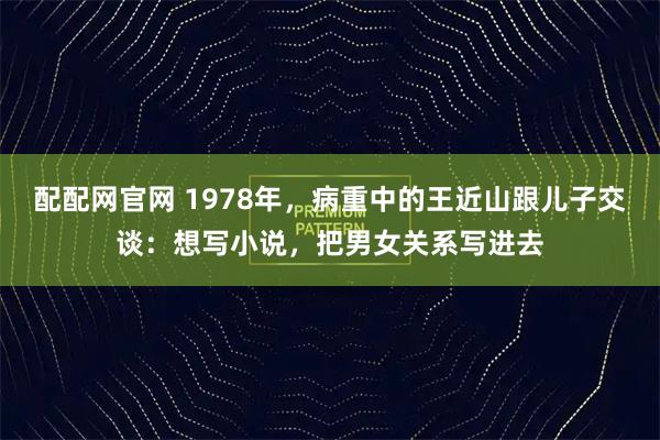 配配网官网 1978年，病重中的王近山跟儿子交谈：想写小说，把男女关系写进去